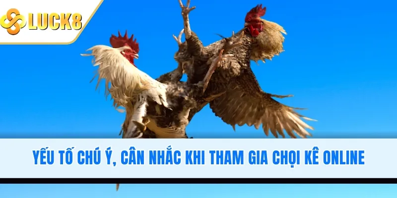 Yếu tố chú ý, cân nhắc khi tham gia chọi kê online